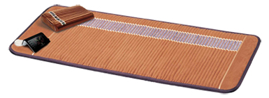 Richway Professional Biomat